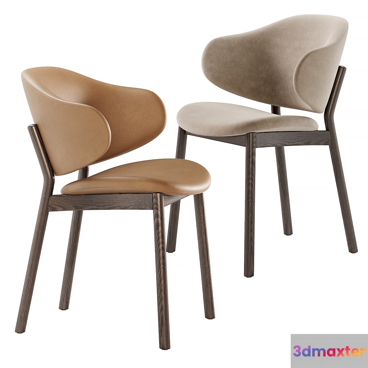Holly chairs by Calligaris - No.2