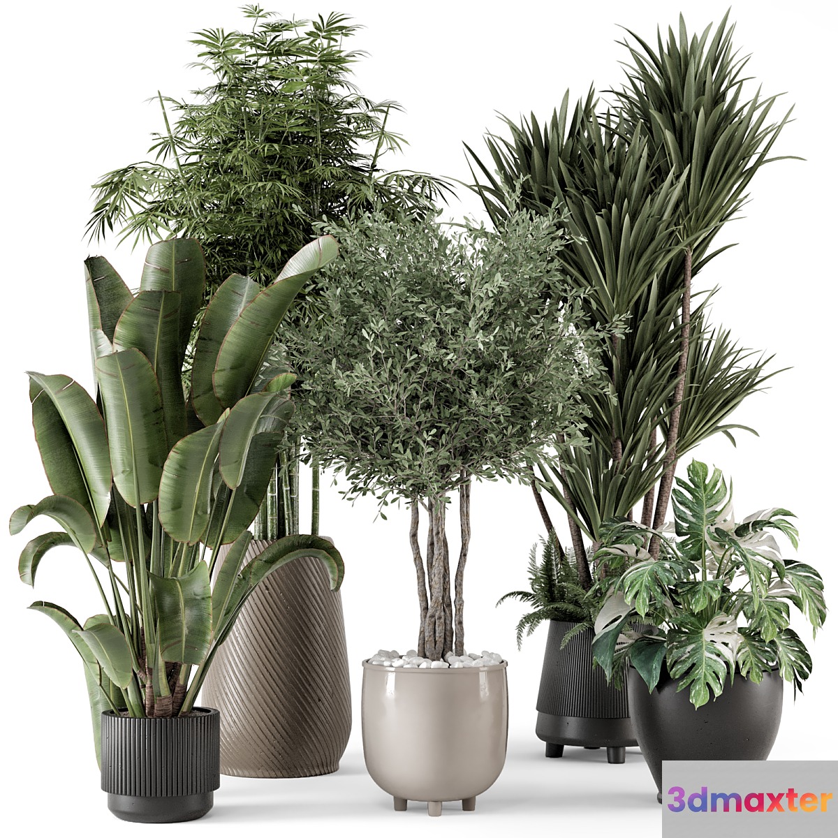 Indoor Plants in Ferm Living Bau Pot Large - Set 1325 - No.2