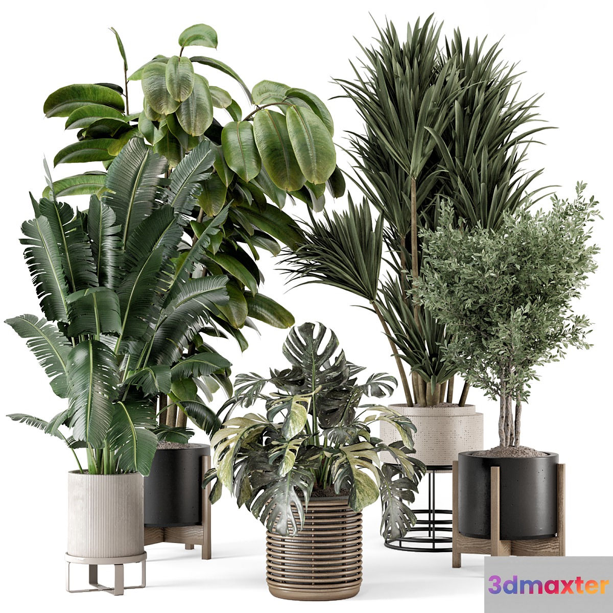Indoor Plants in Ferm Living Bau Pot Large - Set 1328 - No.2