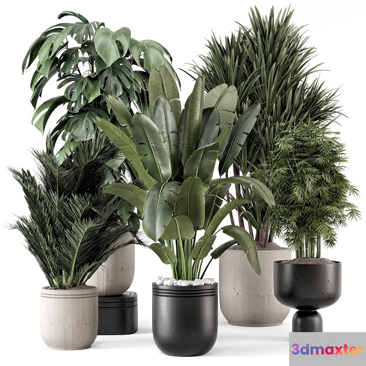 Indoor Plants in rusty Concrete Pot - Set 1331 3D Max
