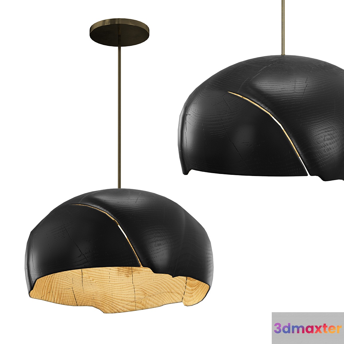 NIC WEBB Pendant 3D Max