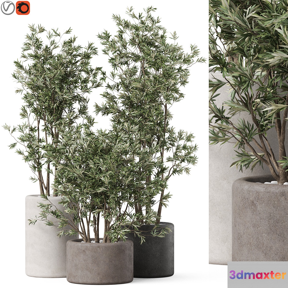 Plants collection 893 3D Max