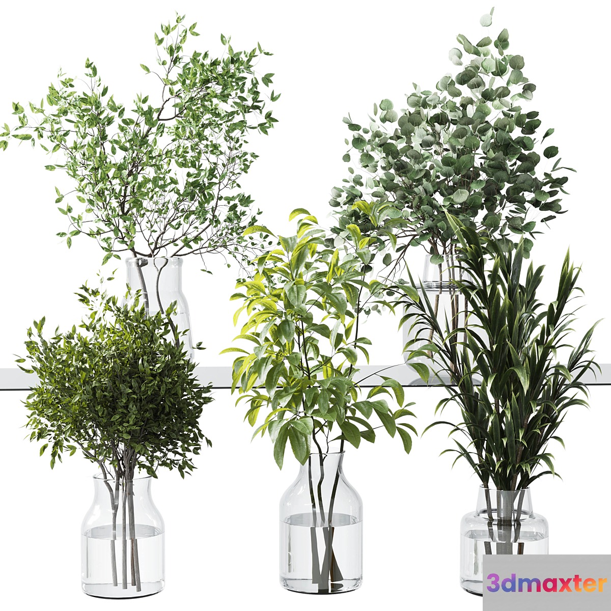 Collection Green Plants Bouquet Indoor 12