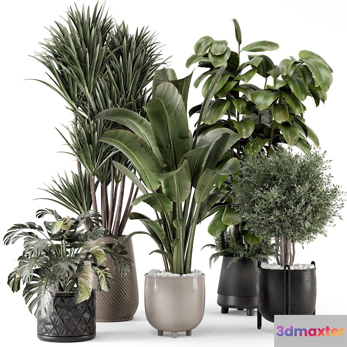 Indoor Plants in Ferm Living Bau Pot Large - Set 1343 3D Max