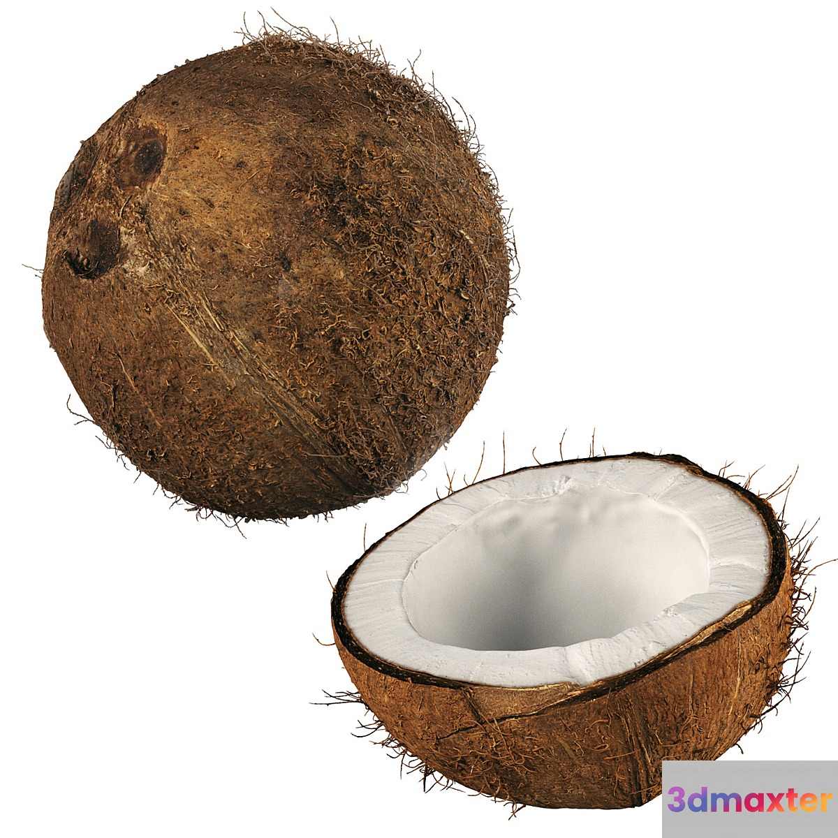4k coconut 02 3D Max