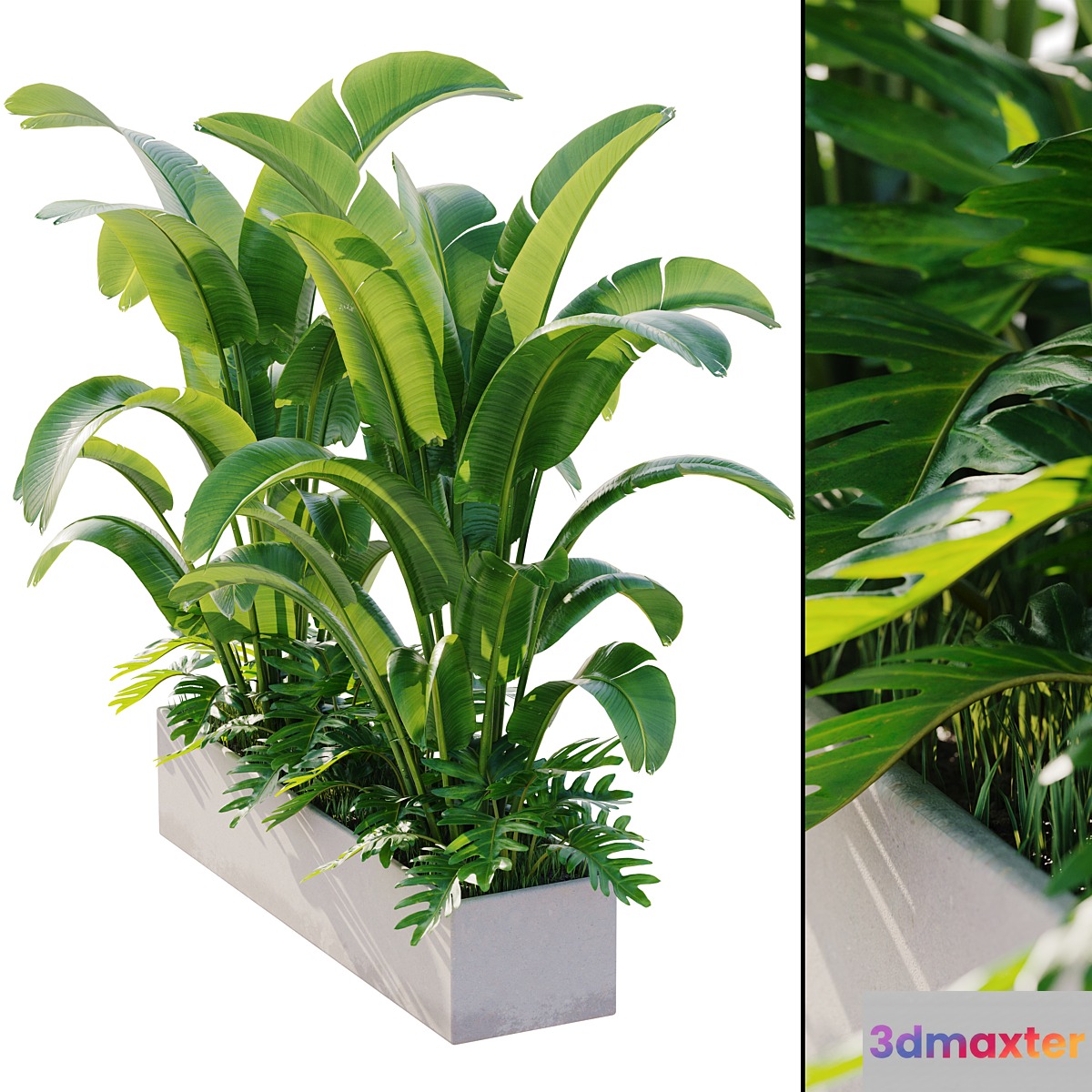 outdoor plant set 12 3D Max