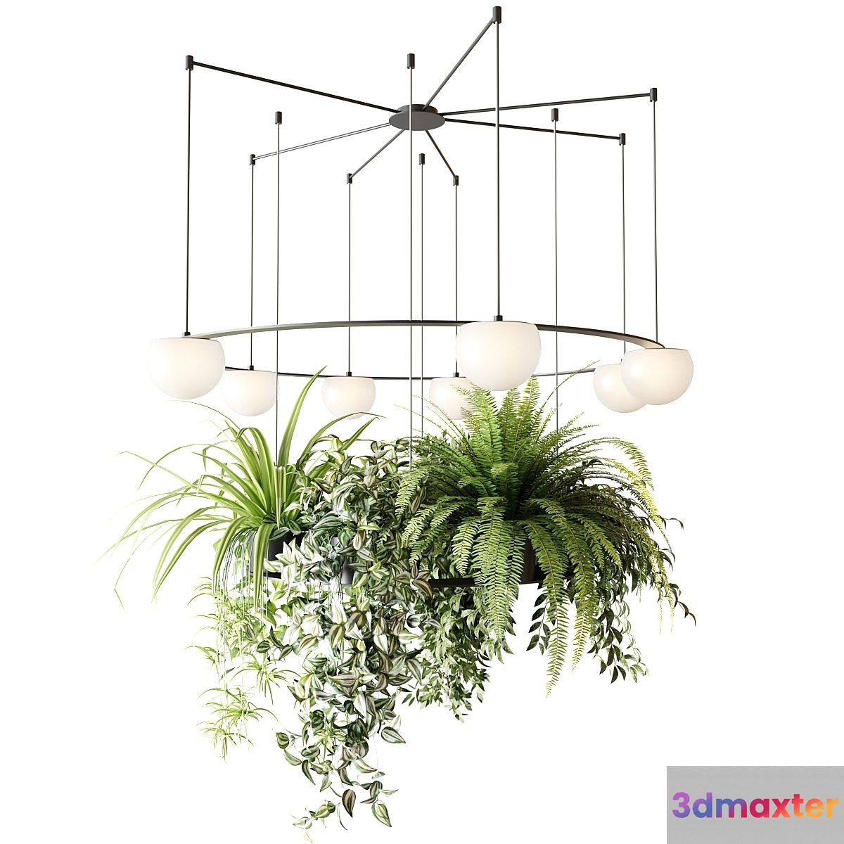 CIRC Suspension lamps Pendants chandelier with ampelous plants