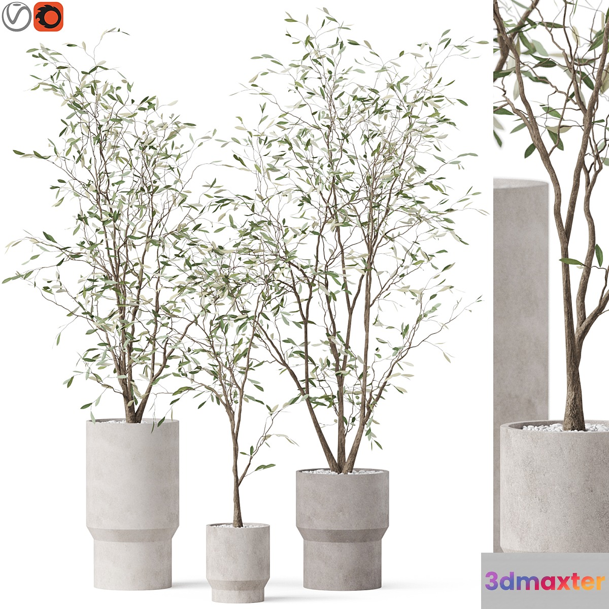 Plants collection 900 3D Max
