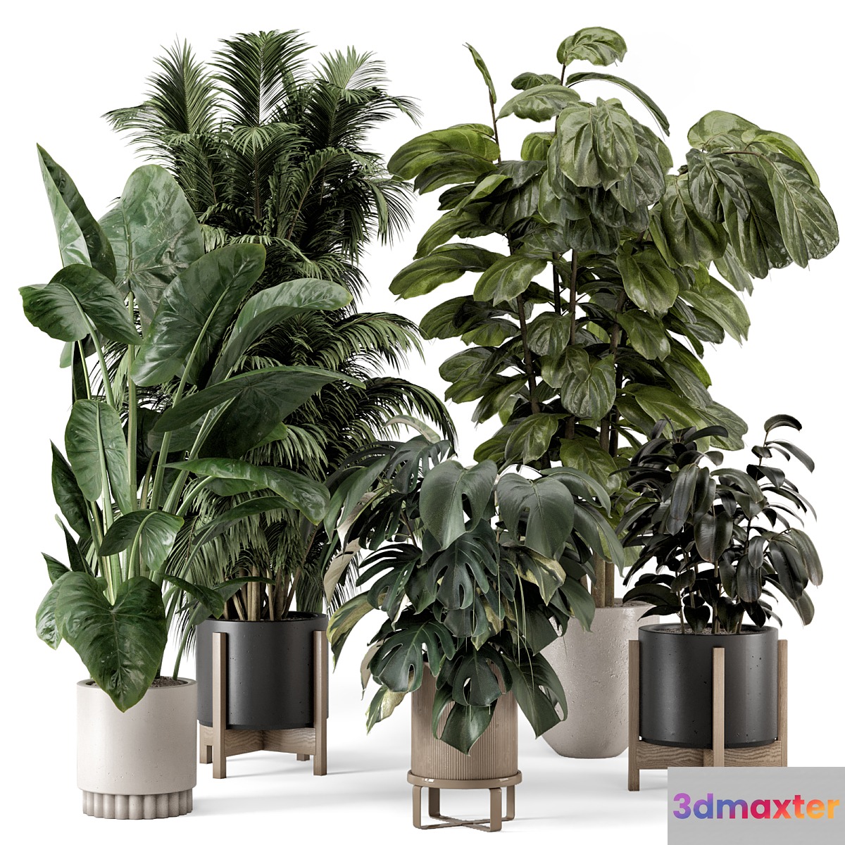 Indoor Plants in Ferm Living Bau Pot Large - Set 1361 - No.2