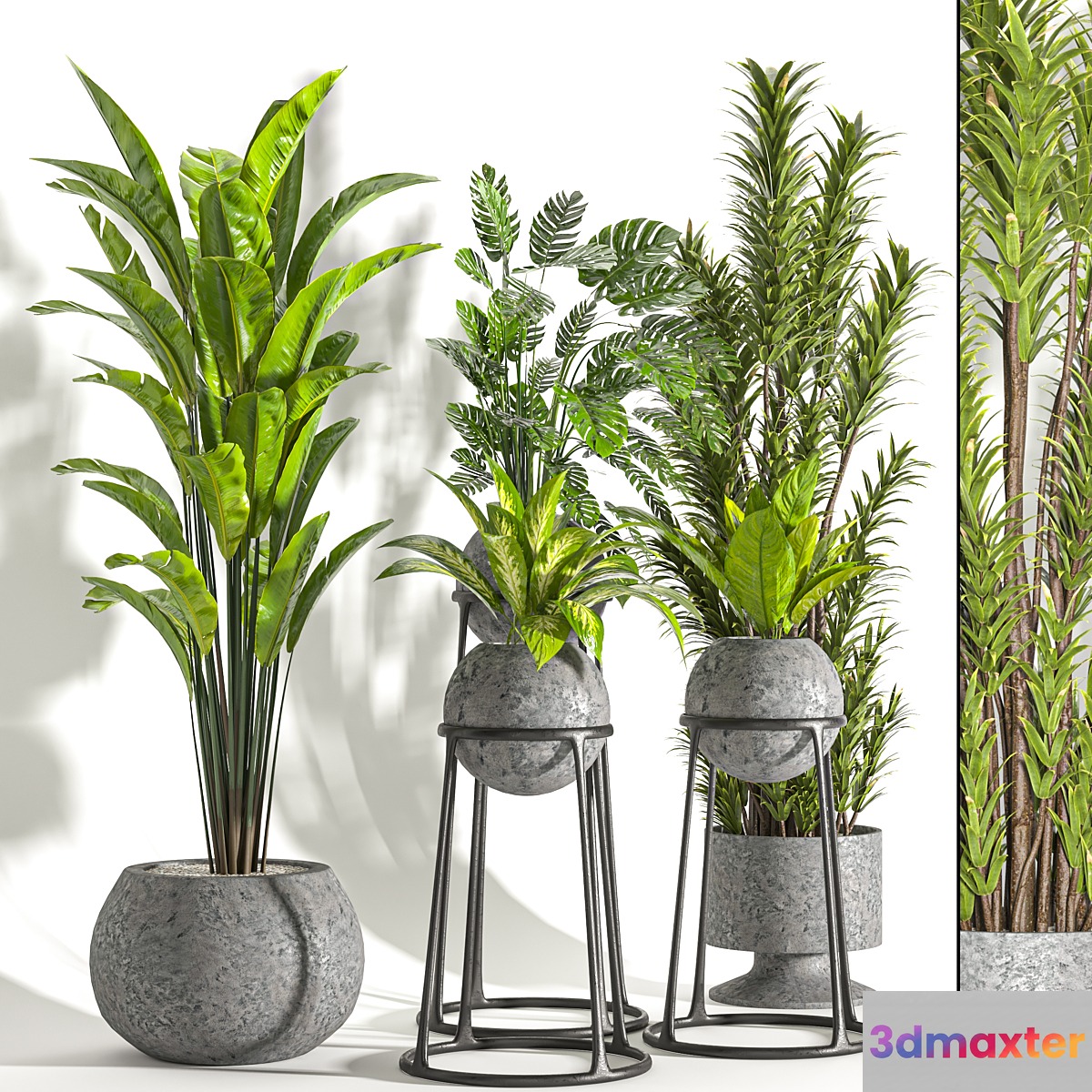 Collaction Indoor plant vol 31 3D Max