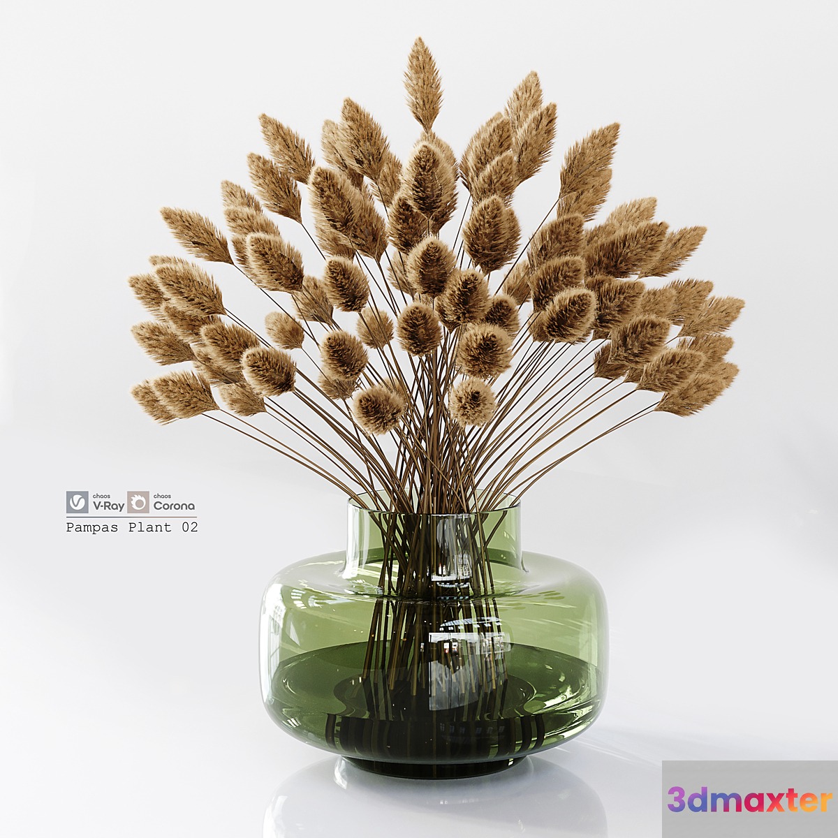 Pampas Plant 02
