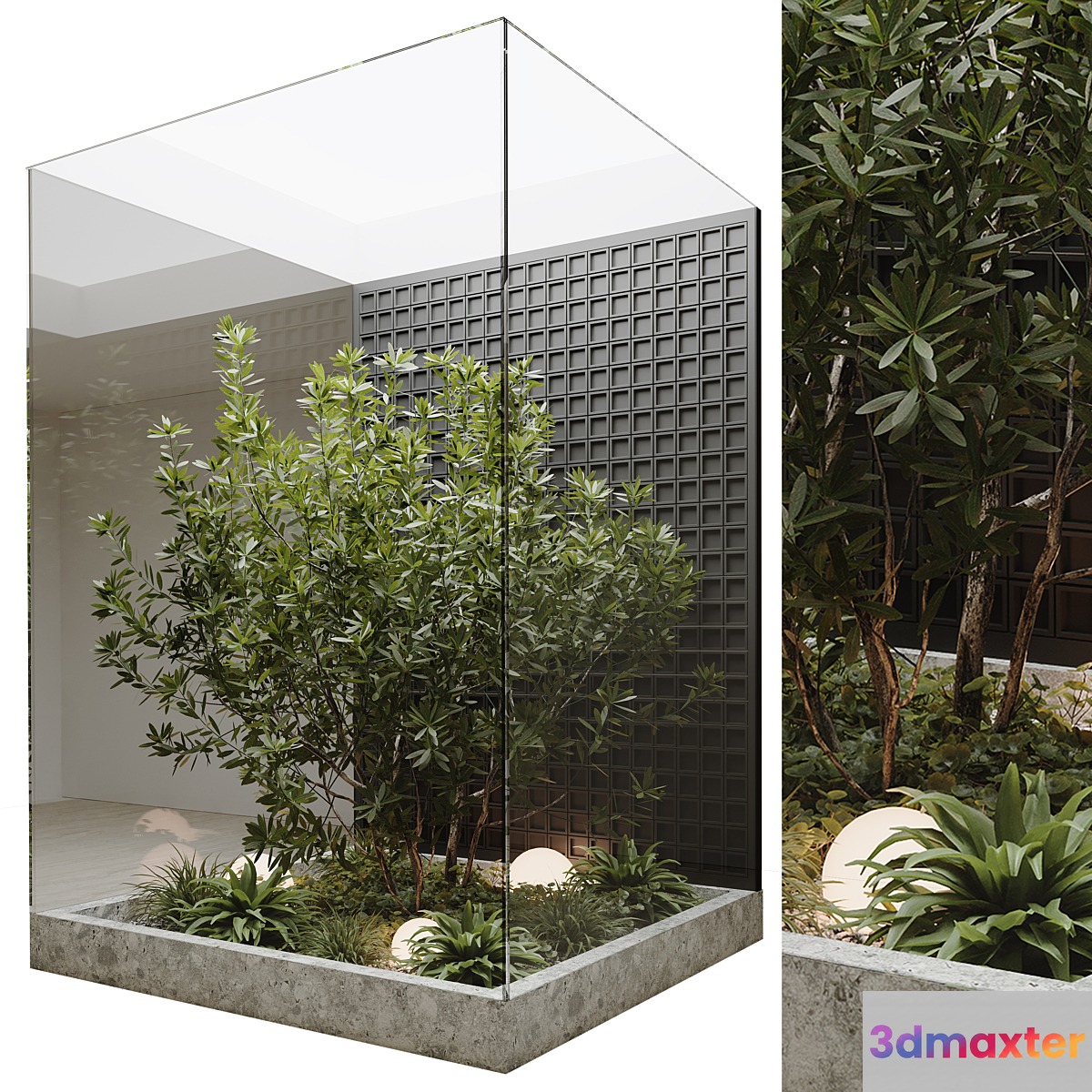 indoor plant set 60