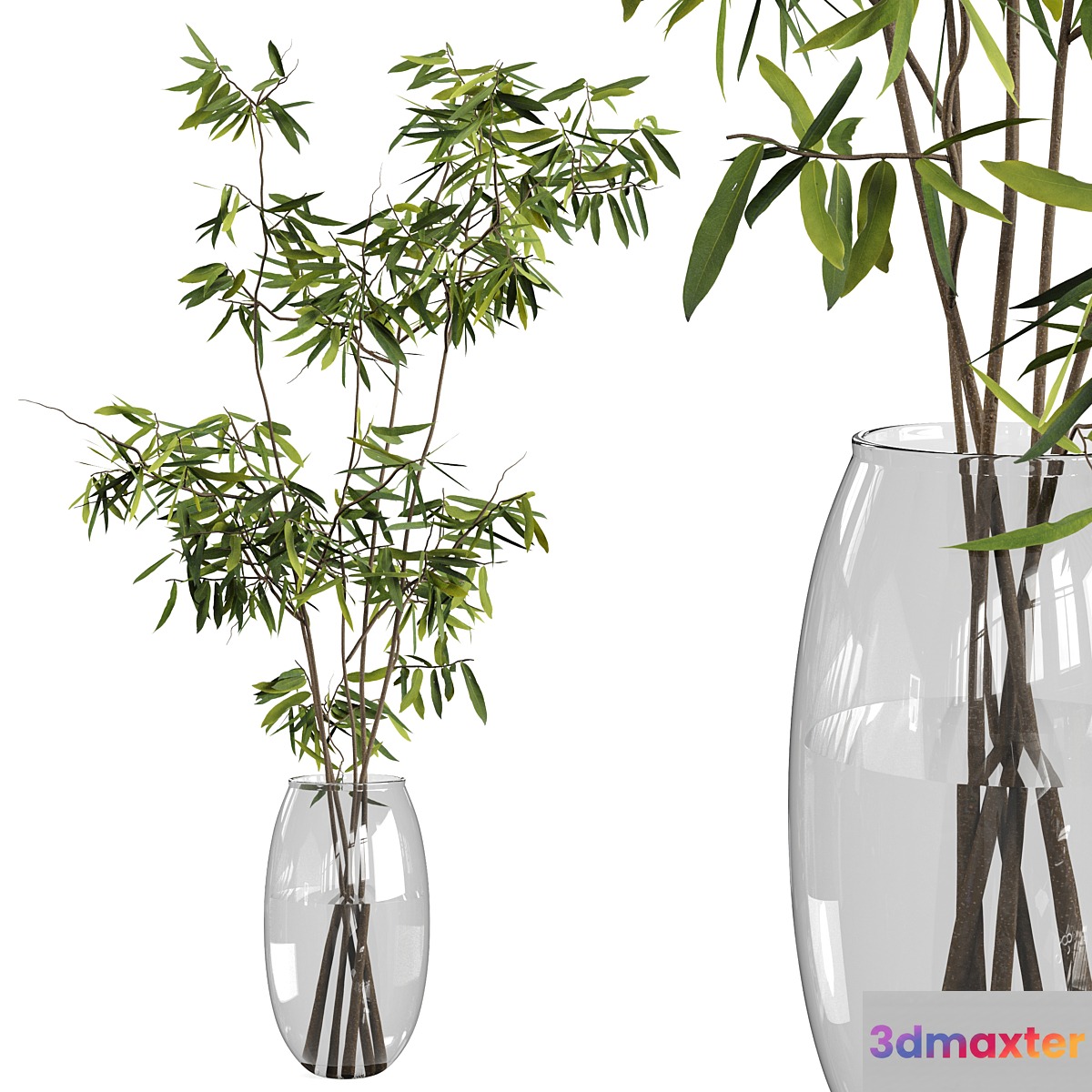 Ficus branches bouquet set 01
