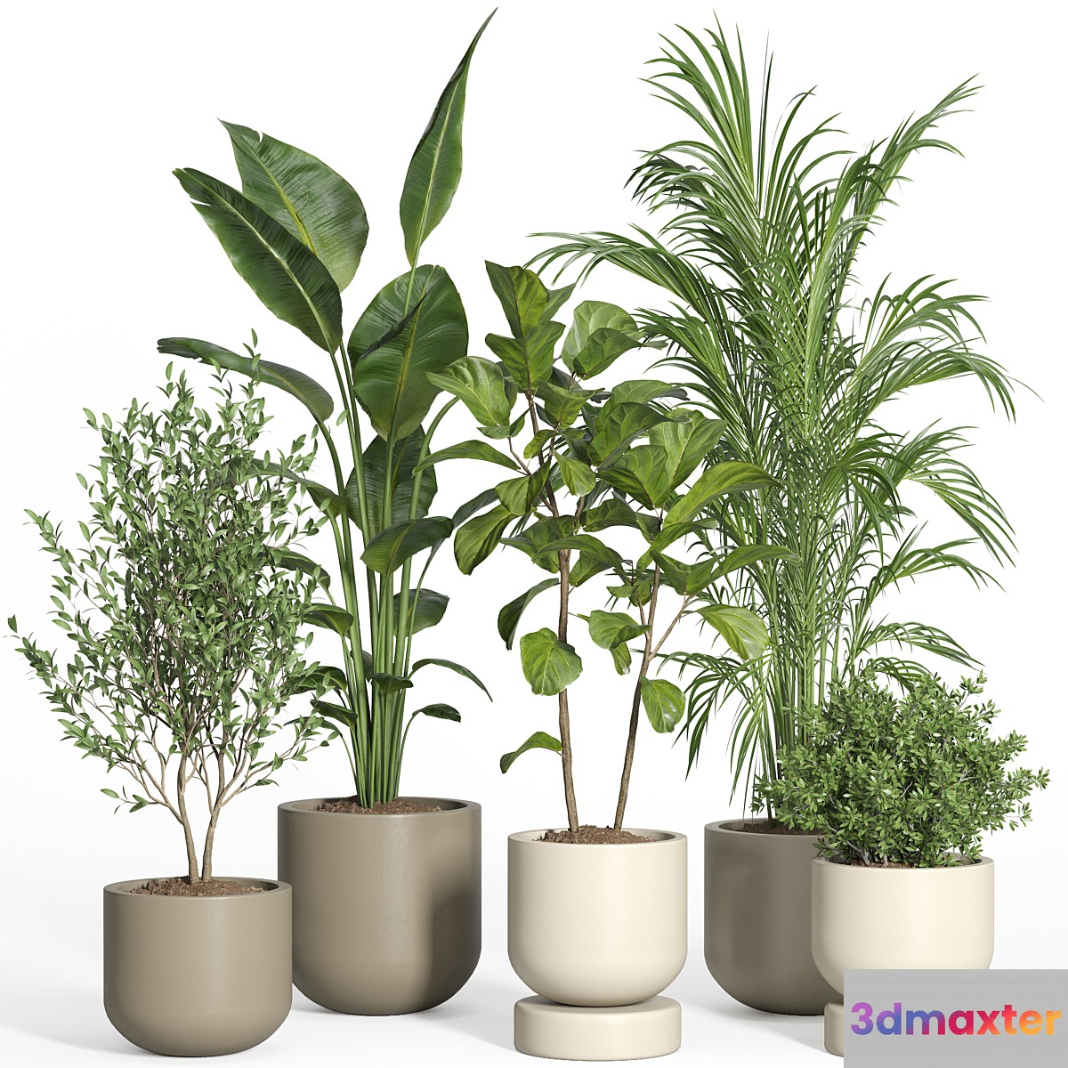 indoor plant set 47