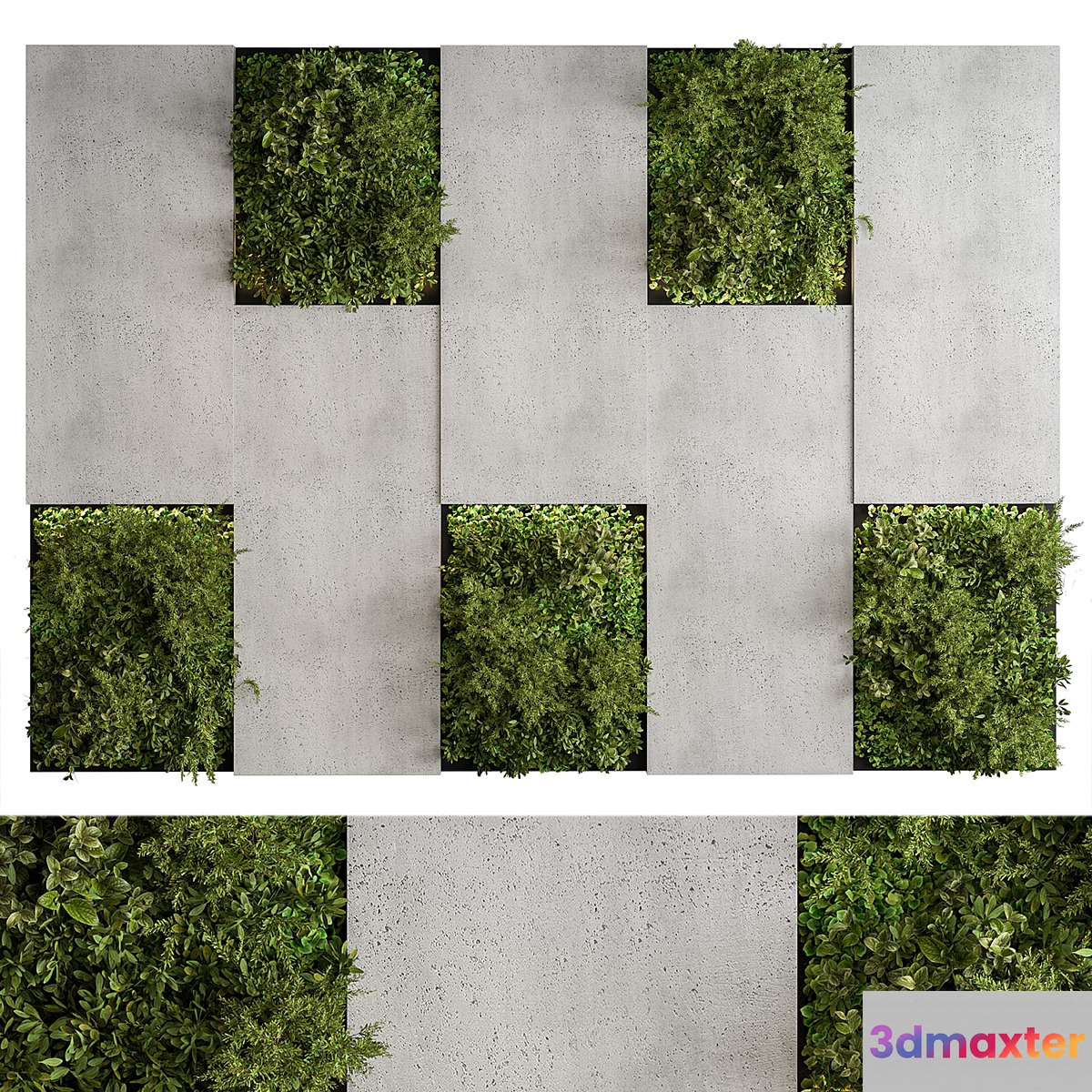 Vertical Garden - Green Wall 77 - No.2