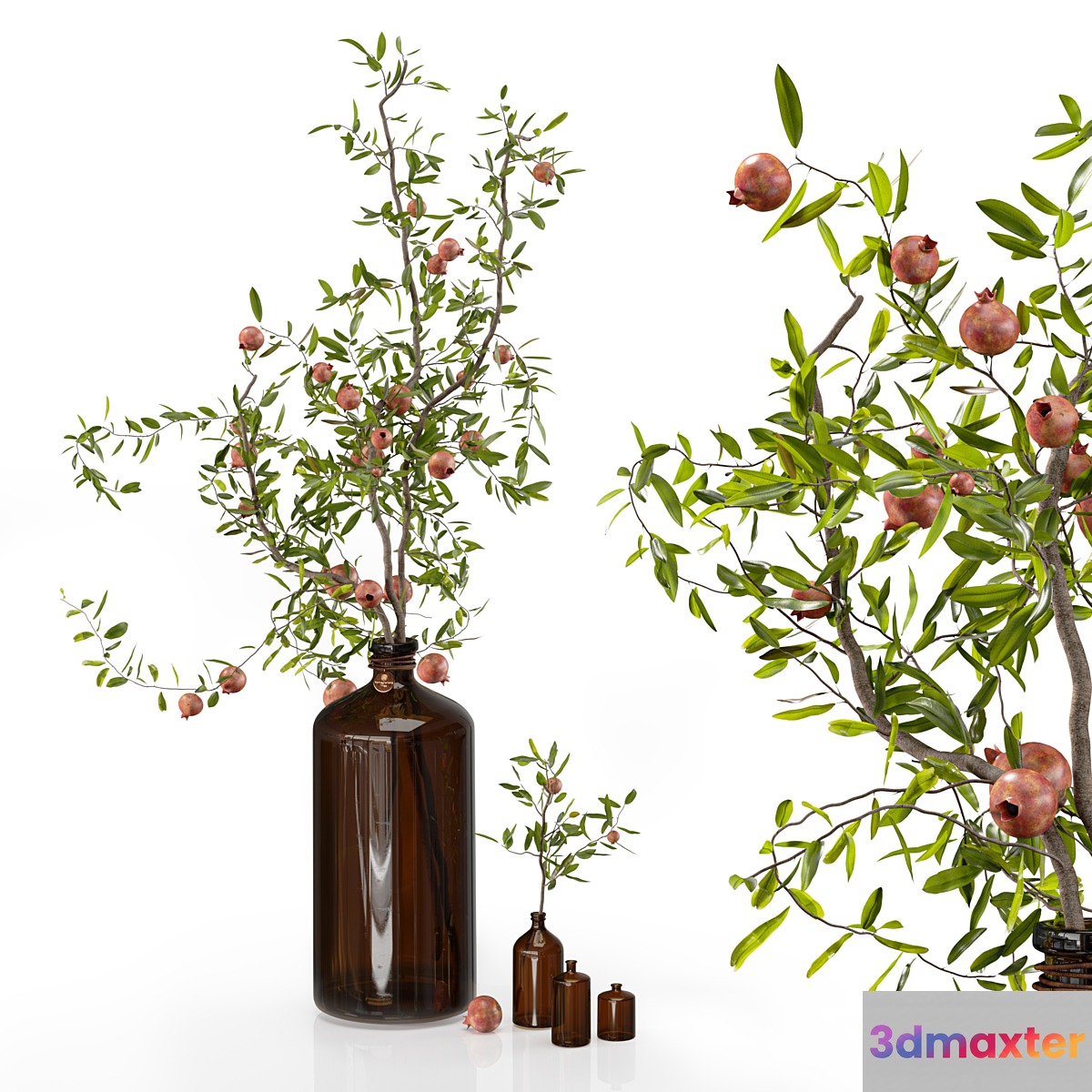 Pomegranate branches in pharmacy bottles 3D Max
