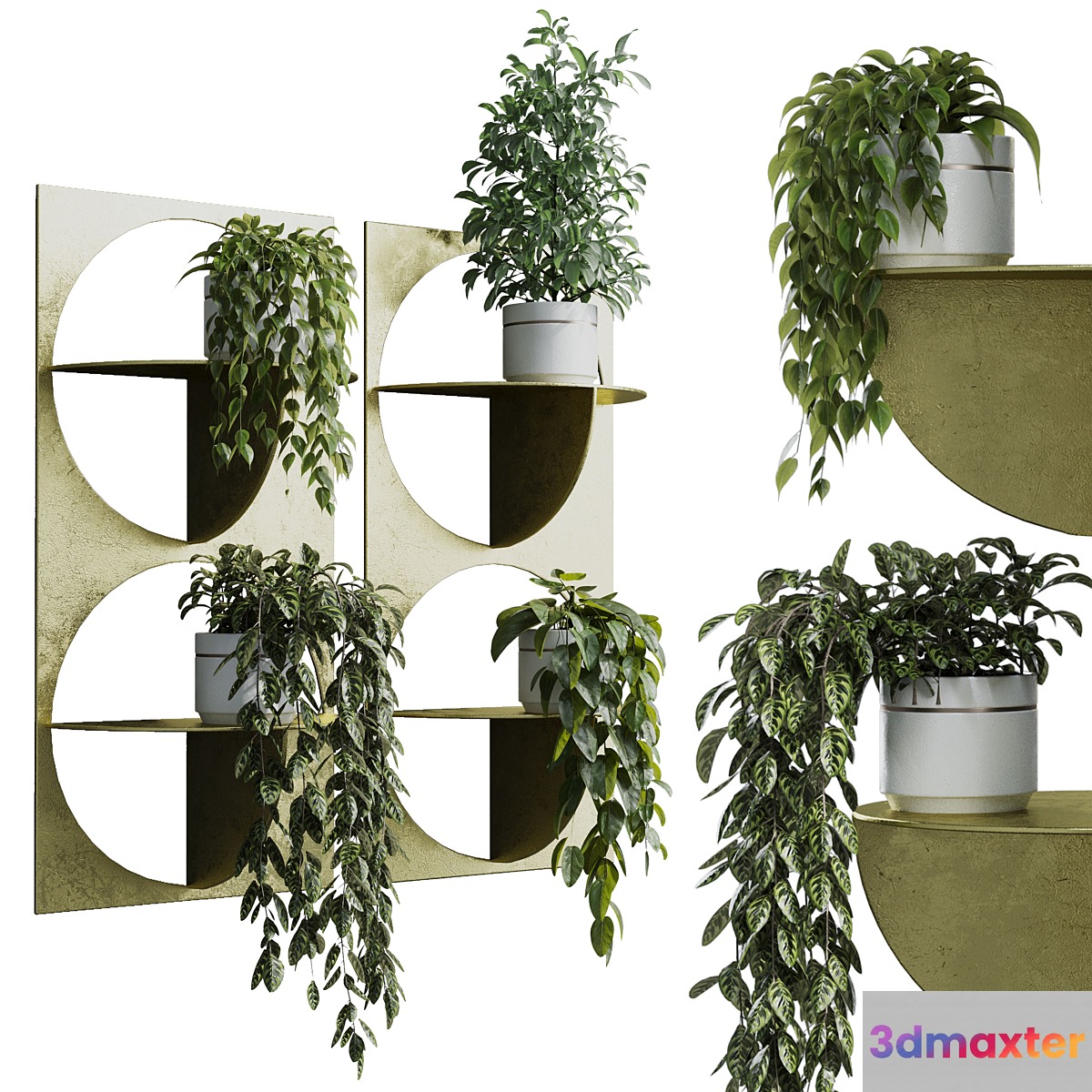wall plant - set Indoor plant 365 plants in on a shelf 3D Max