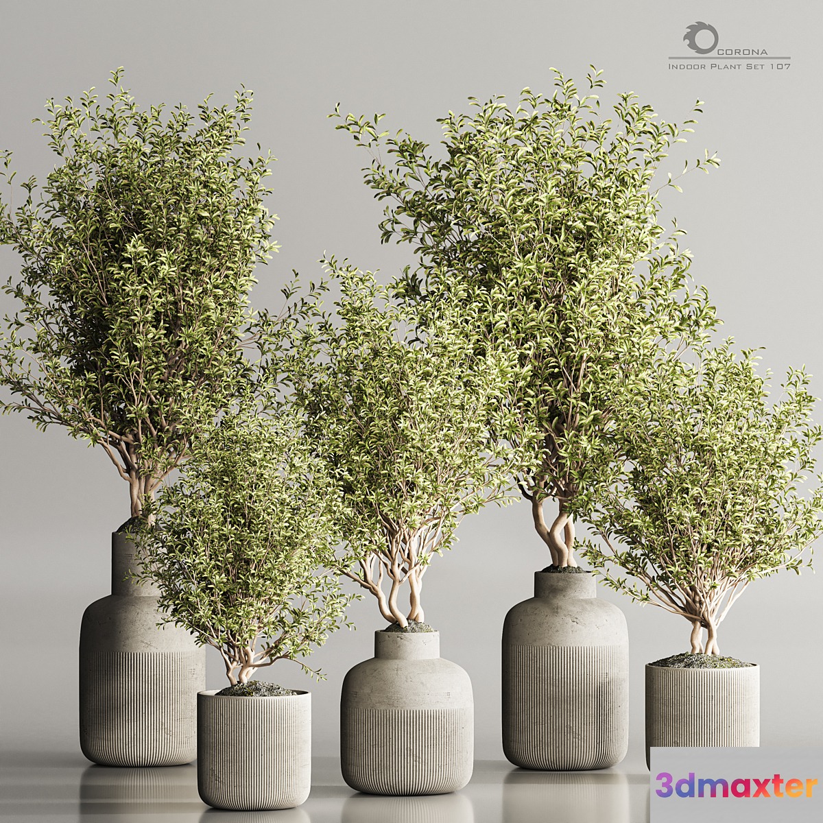 Indoor Plant Set 107 - No.2 3D Max
