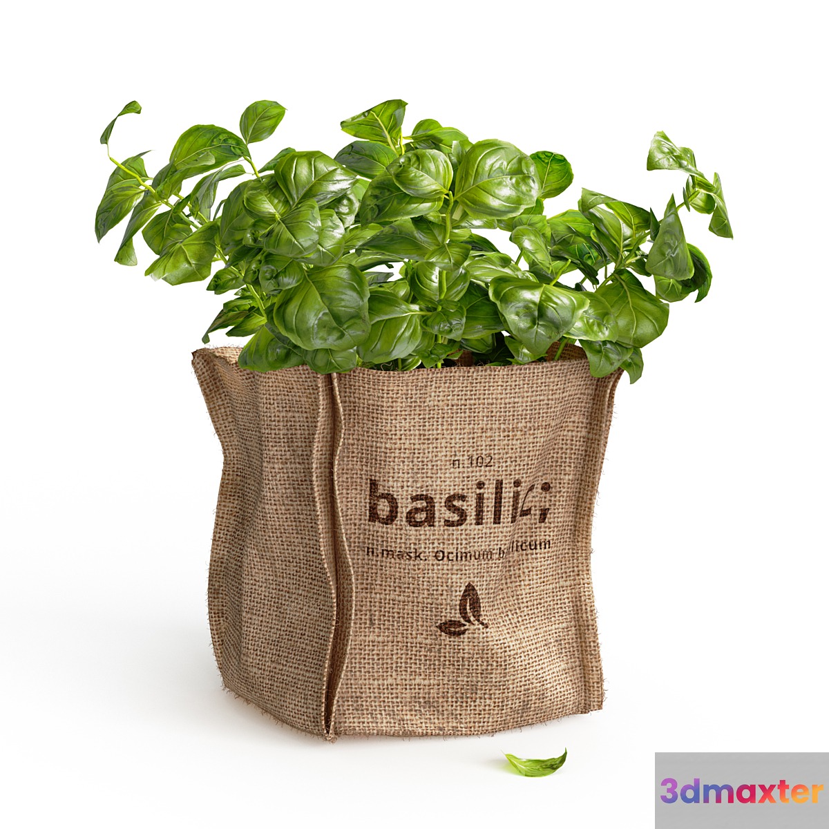 Basil in burlap (microgreens) 3D Max