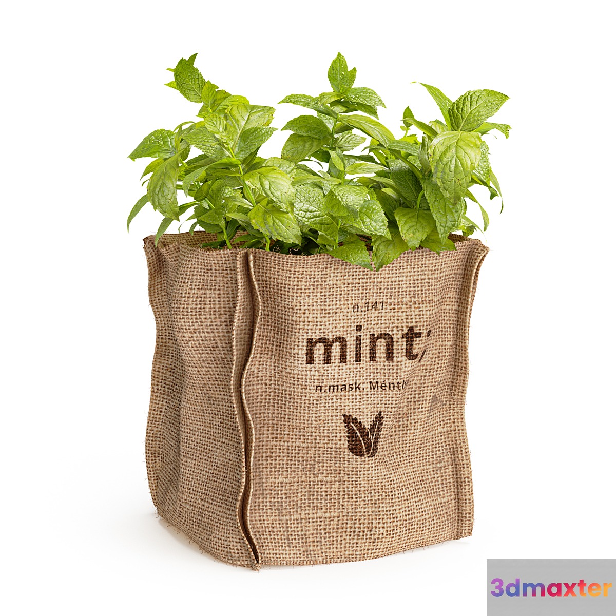 Mint in a burlap pot 3D Max