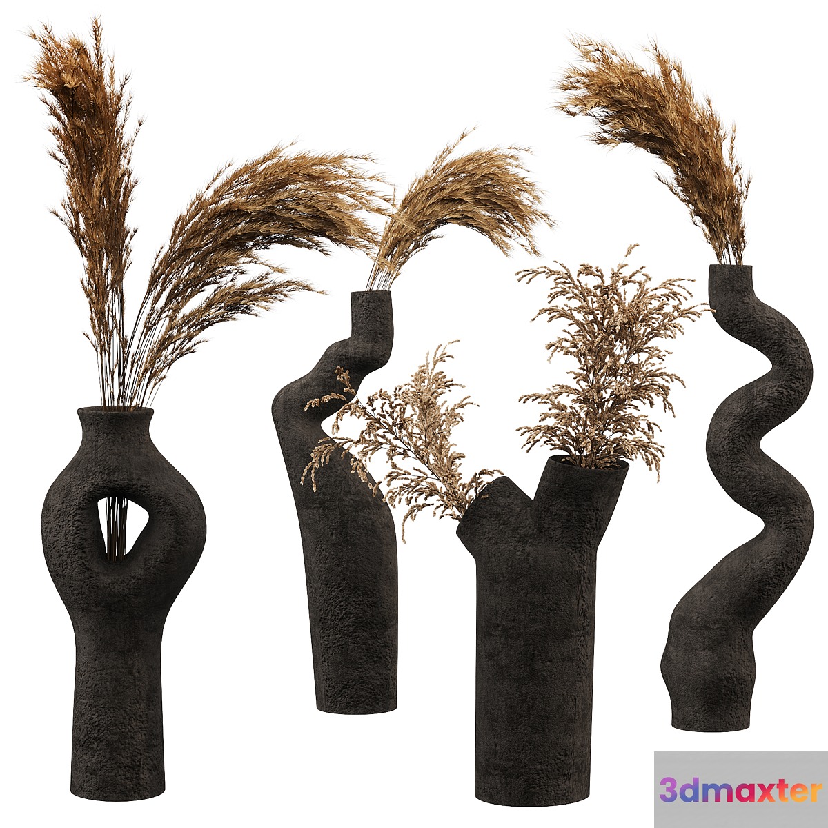 Decorative set with Pampas Bouquet 3D Max