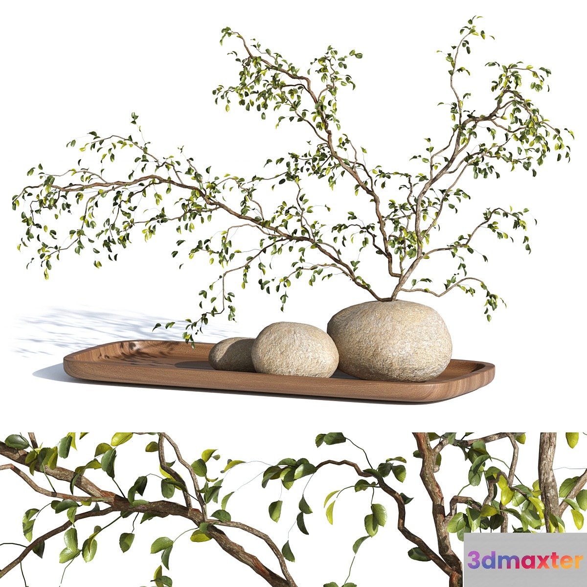 plant decor 3D Max