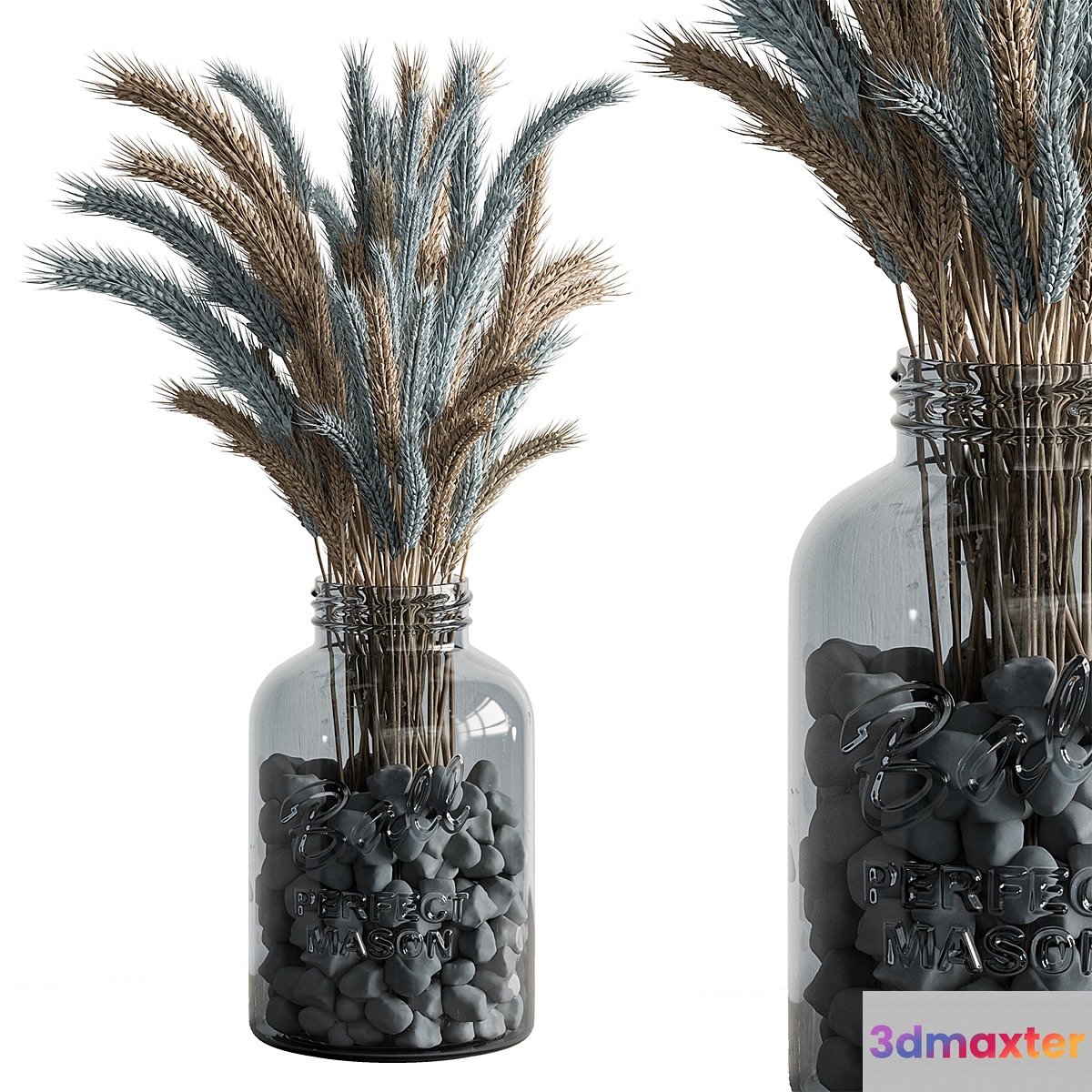 Dry plants 101 - Wheat