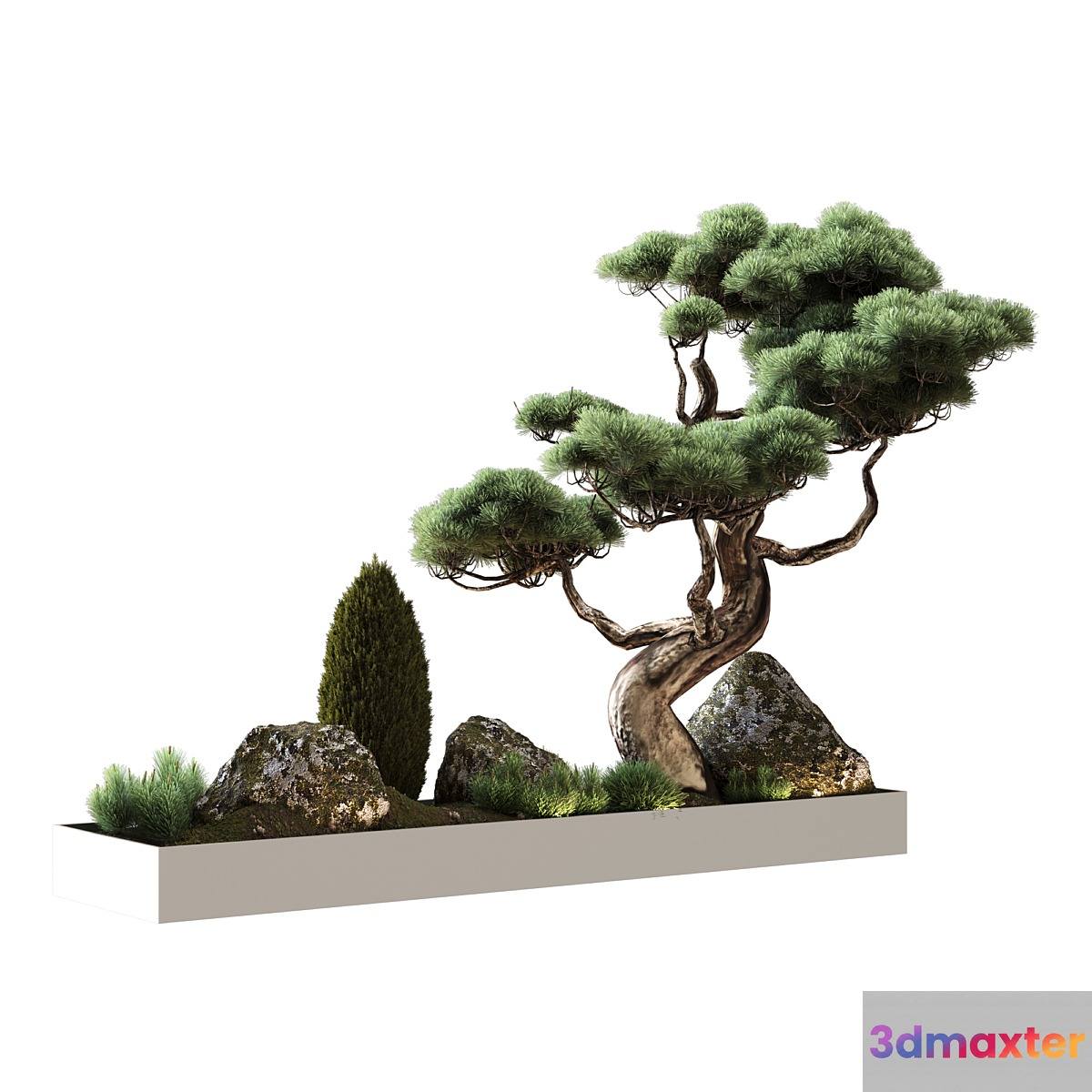 Decor with Vray pine 3D Max