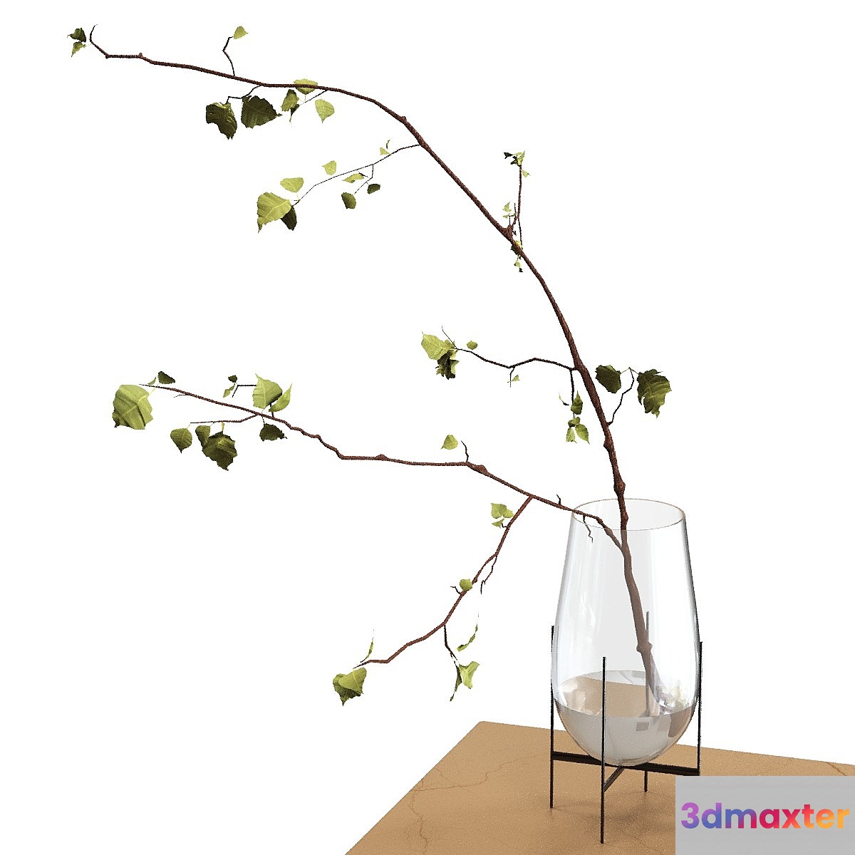 branch in a vase - No.2