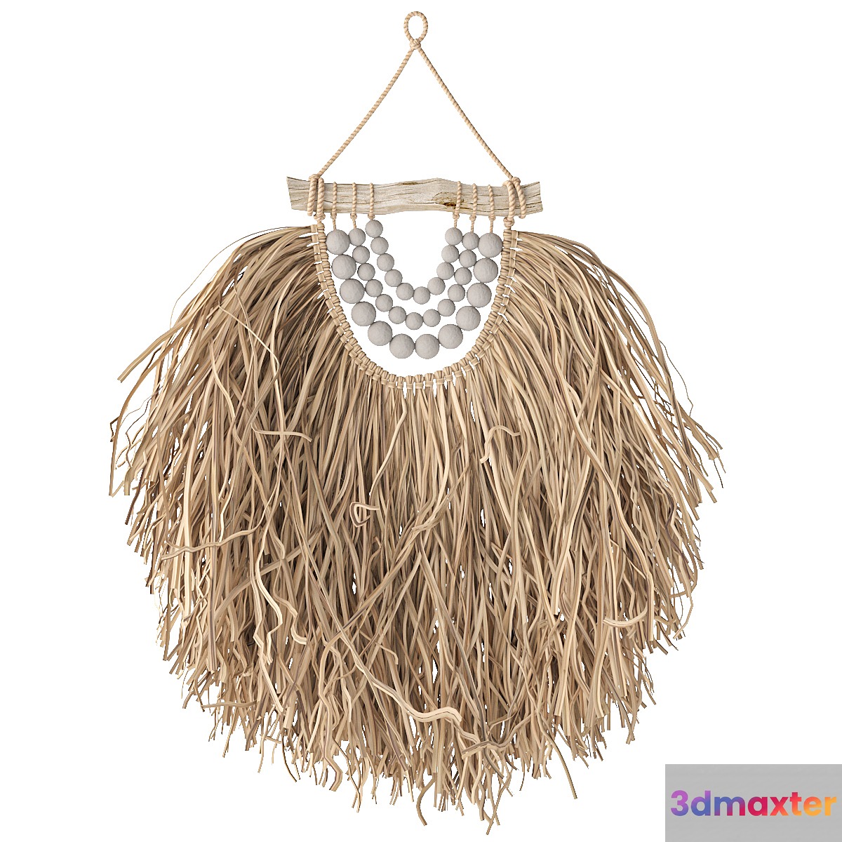 Raffia 3D Max