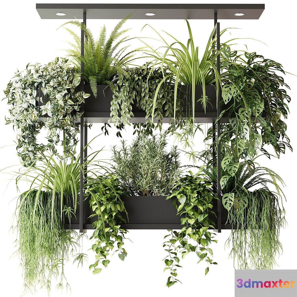 Hanging plants indoor plant hanging plants OSLO 3D Max