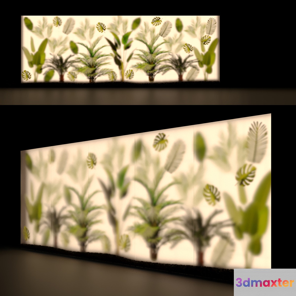 Phyto Display Case