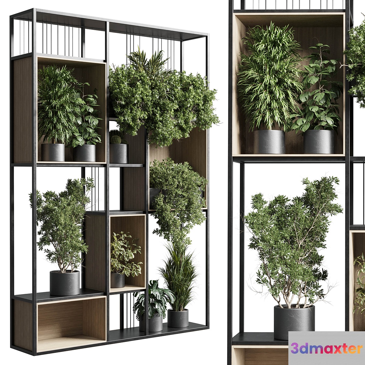 Standing metal shelf with a set 384 of plants in metal boxes corona - No.2