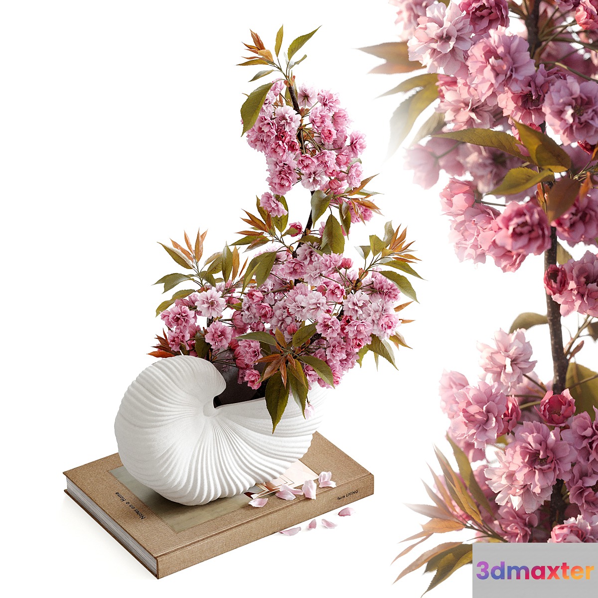 Shell Pot with Sakura Ferm Living