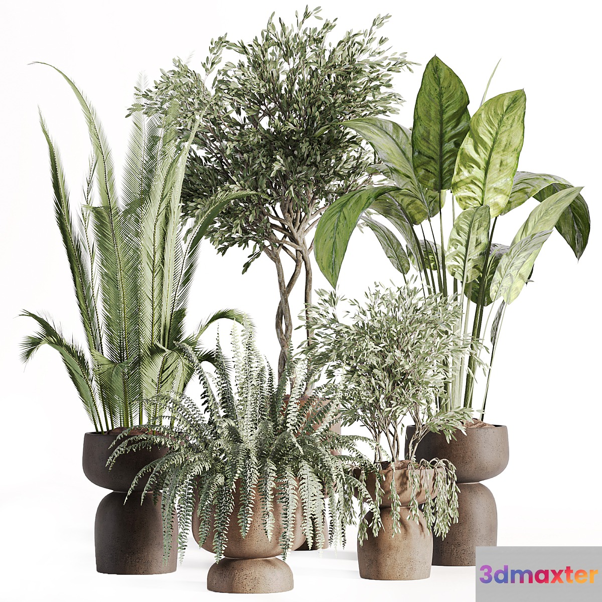 indoor plants in vase 002