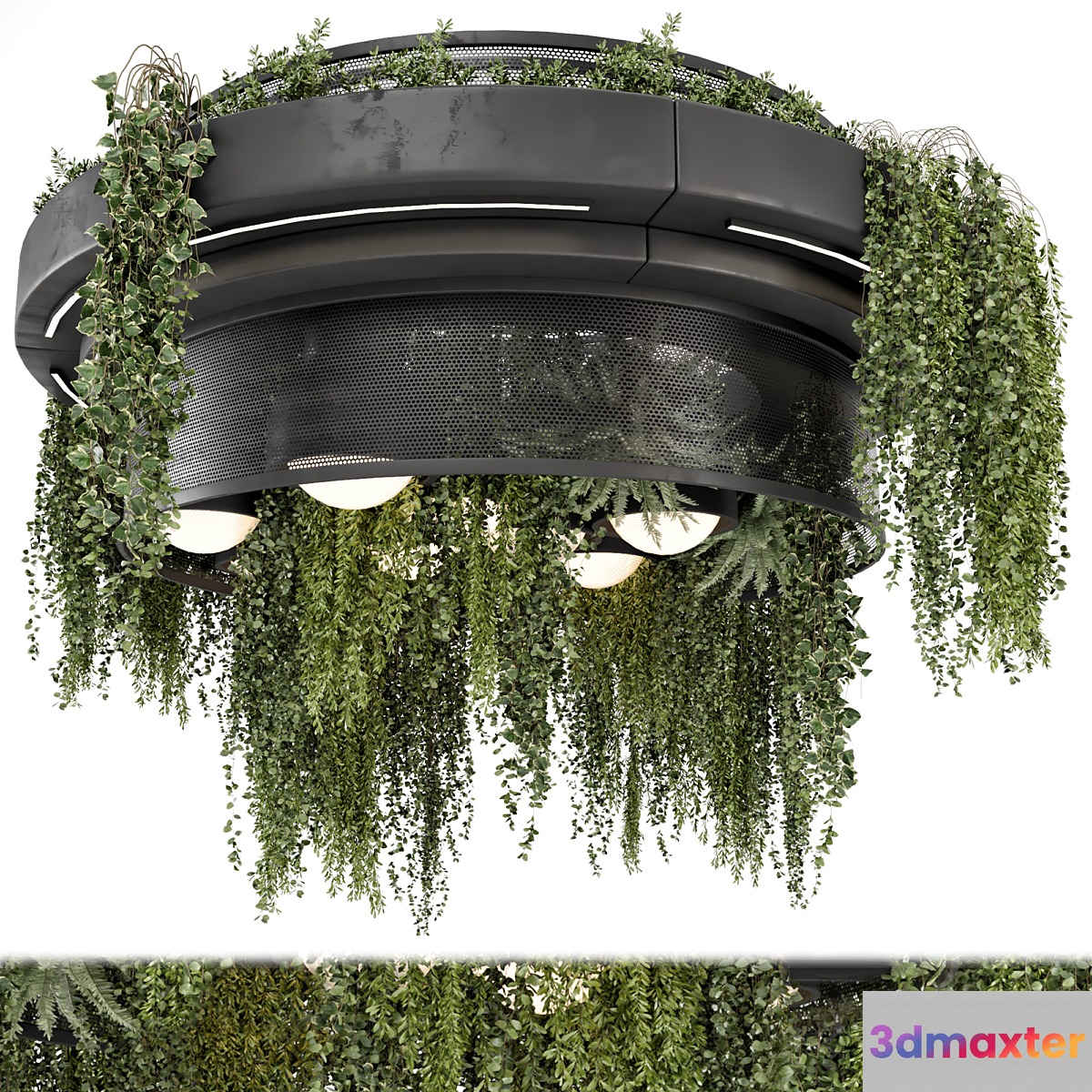 Indoor Hanging Plants in Metal Box - Set 1506 3D Max