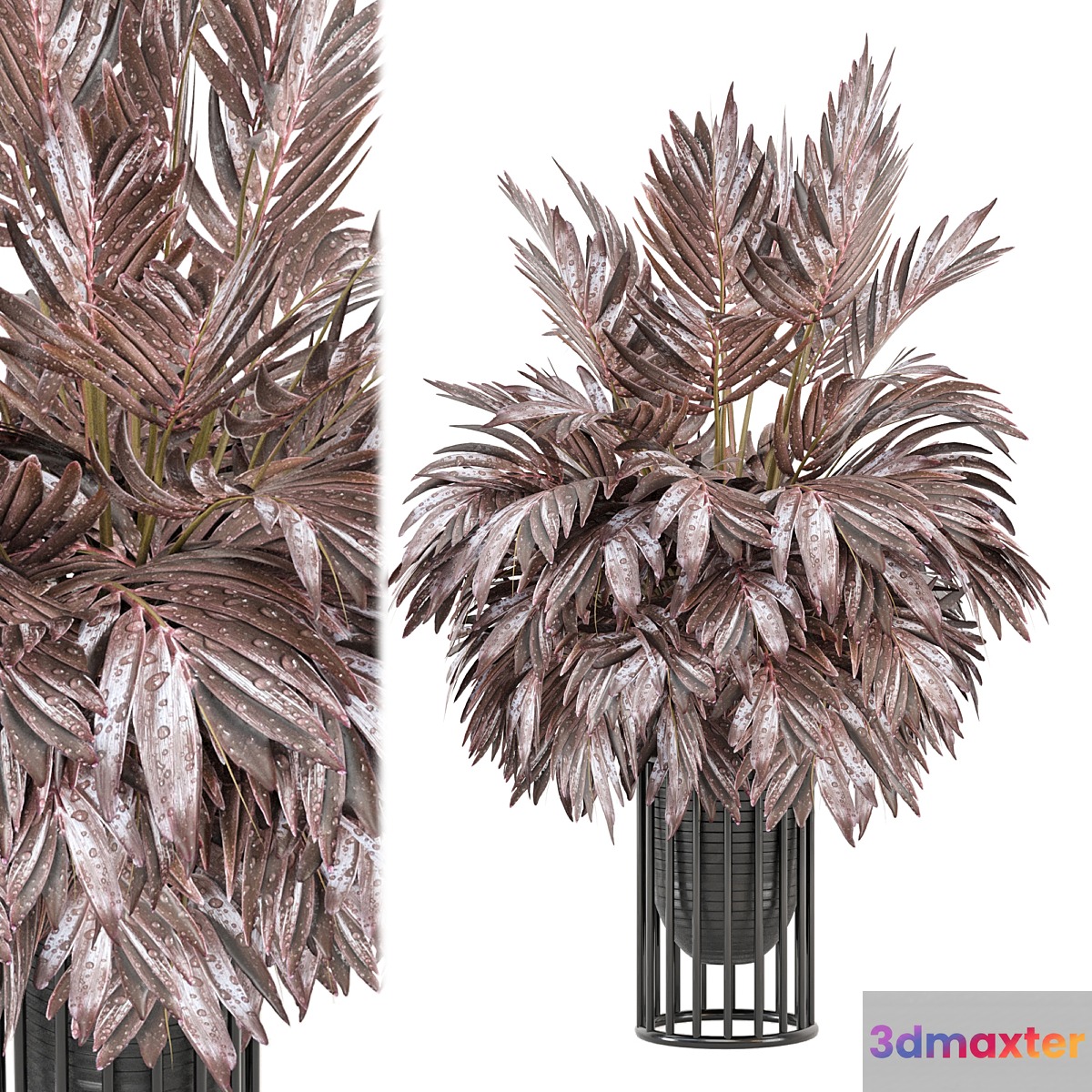 indoor Plants Collection - Set 882