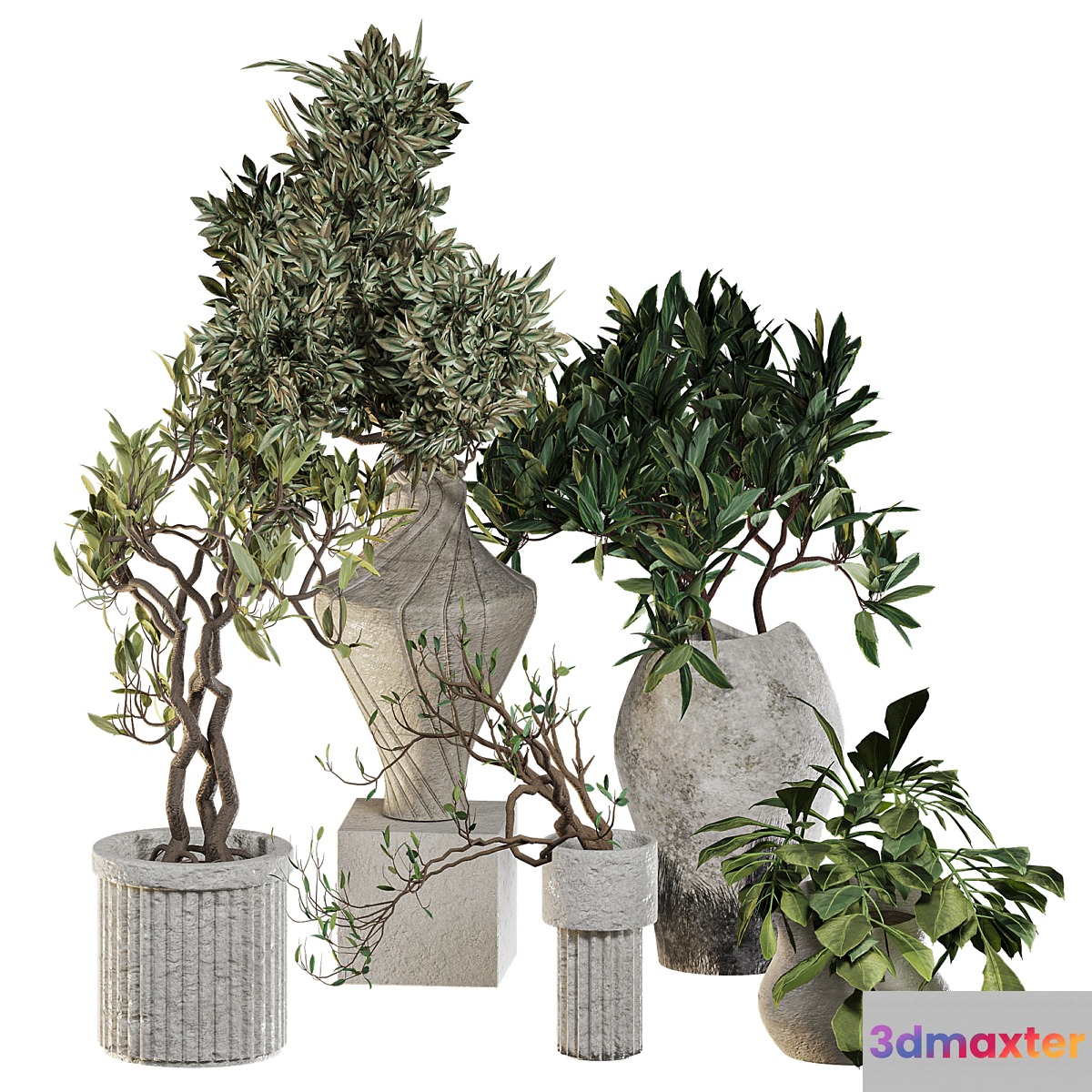 Plants in ceramic pots 3D Max