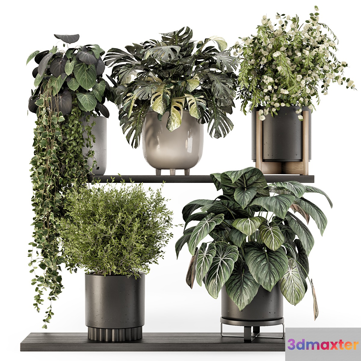 Indoor Plants in rusty Concrete Pot - Set 1512