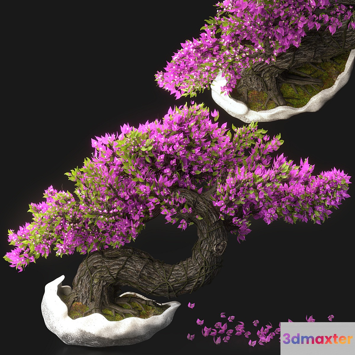 Bonsai Flower Set-13 - No.2