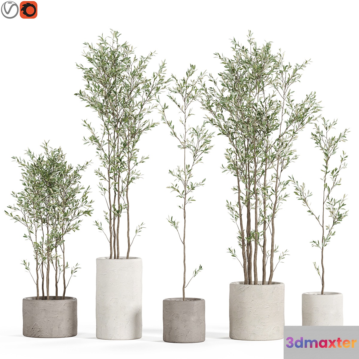 Plants collection 949 - No.2