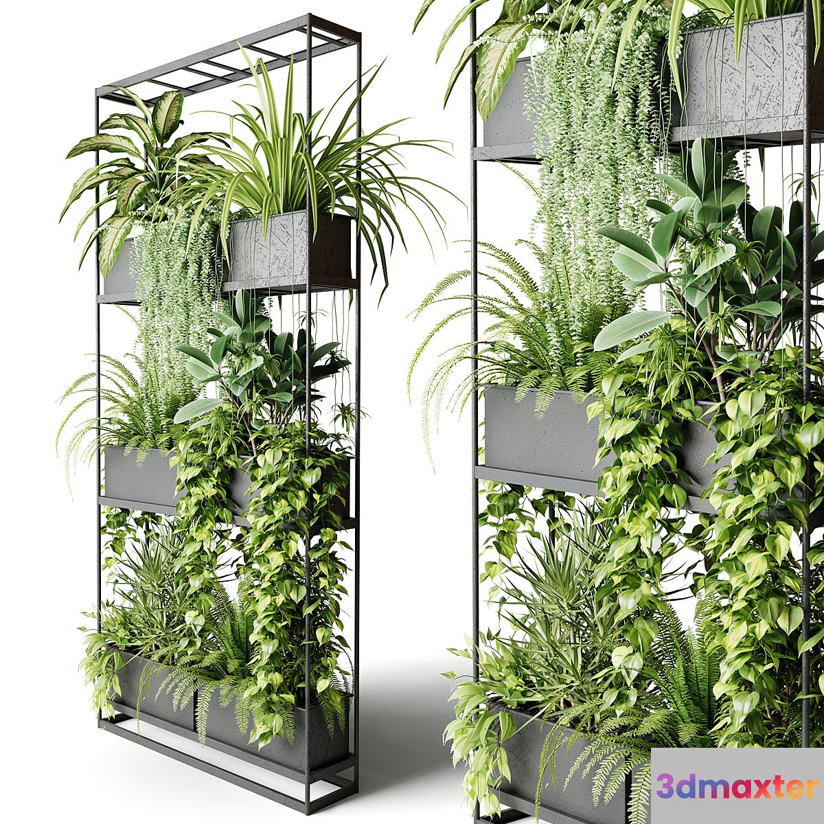Wide metal rack with indoor plants