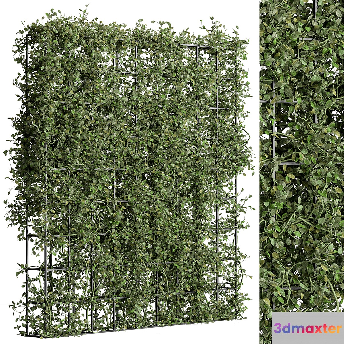 Vertical Garden Partiton - Set 81