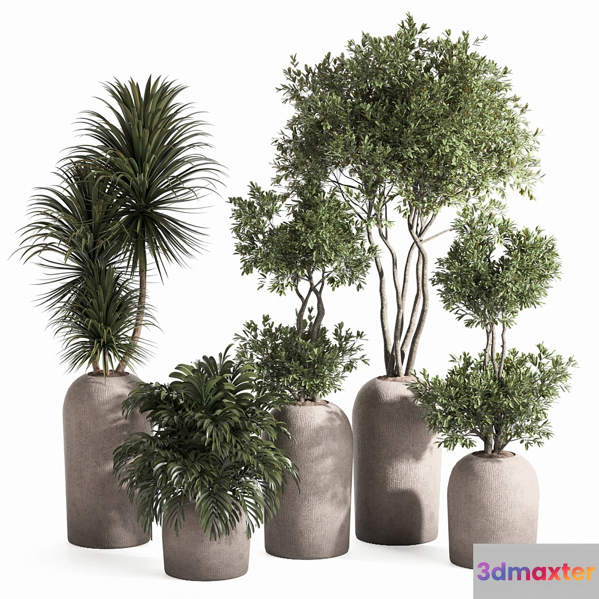 indoor plant set