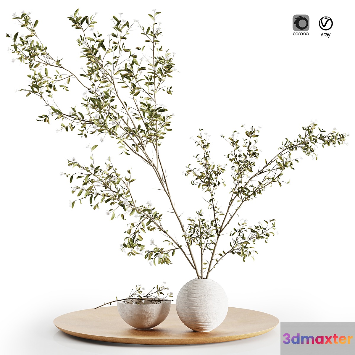 Pulm Branch in White Vase Set3 3D Max