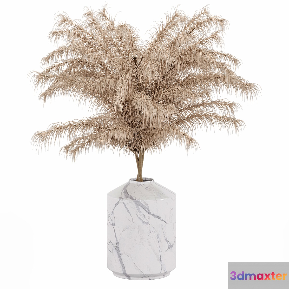 Dry Flower 3D Max