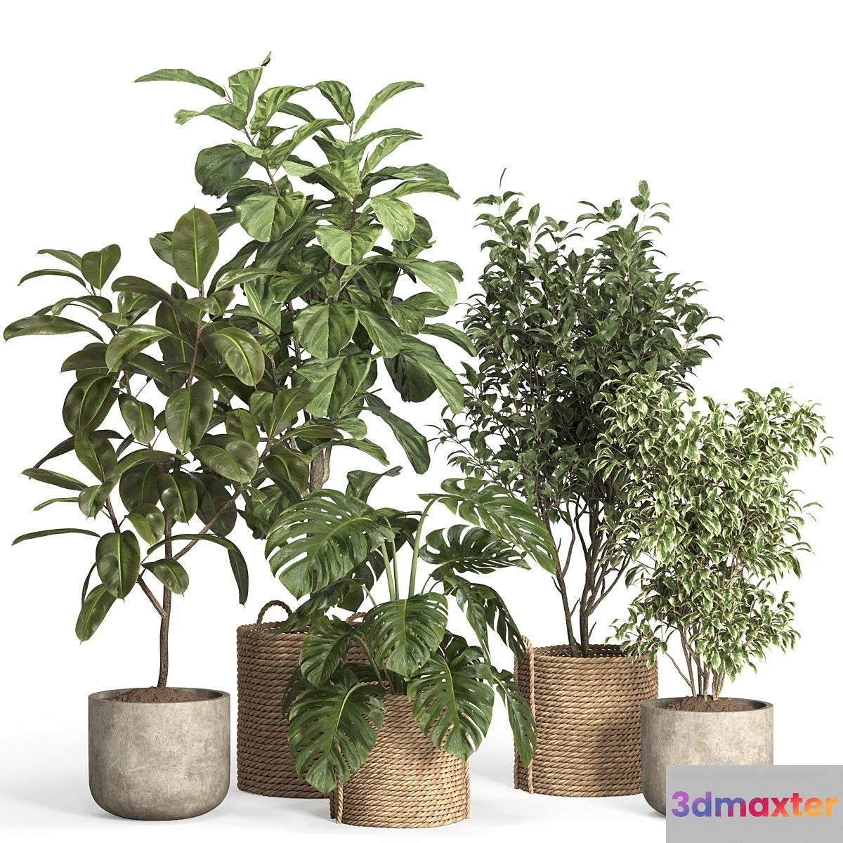 indoor plant set 55- rattan and concrete 3D Max