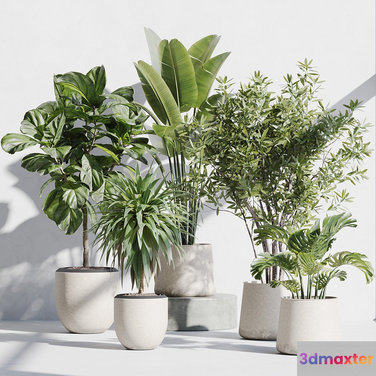 indoor plant set 66 - No.2 3D Max