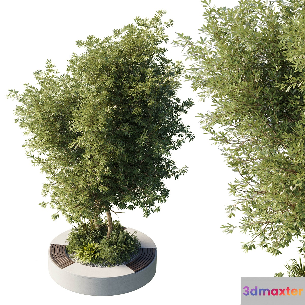 Urban Environment - Urban Furniture - Green Benches With tree 43 - No.2 3D Max