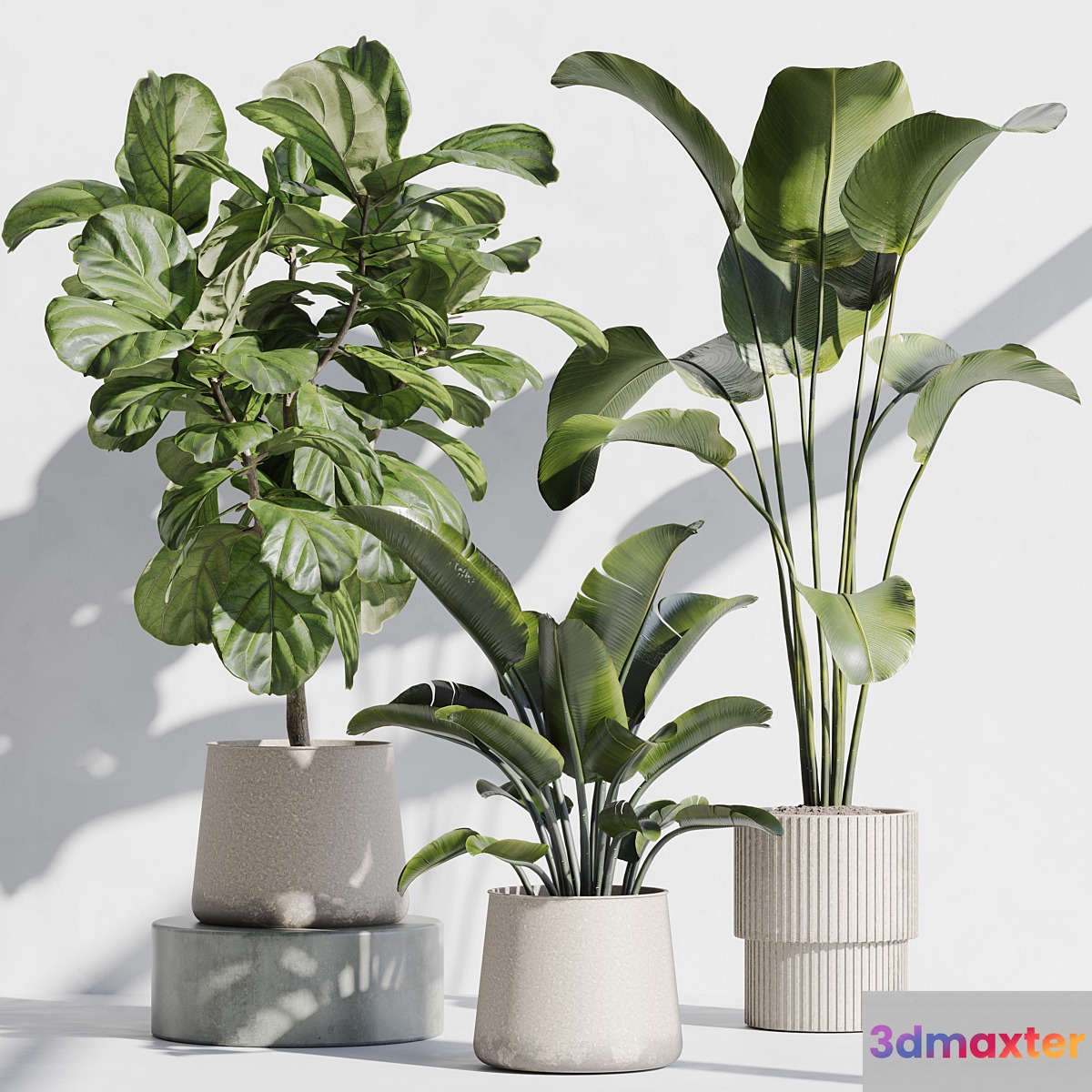 indoor plant set 67 3D Max